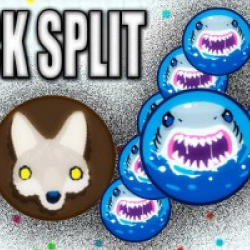 TRICKSPLIT